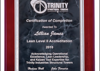 Trinity Structural Towers